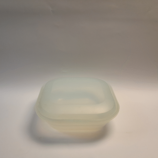 Food Container
