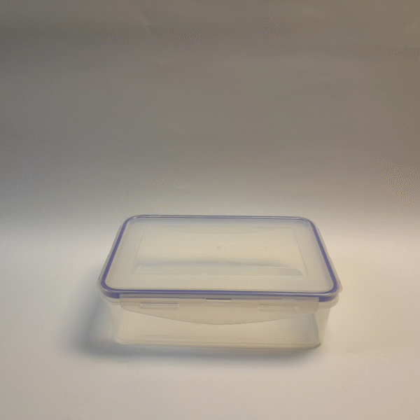 Transparent Storage Box